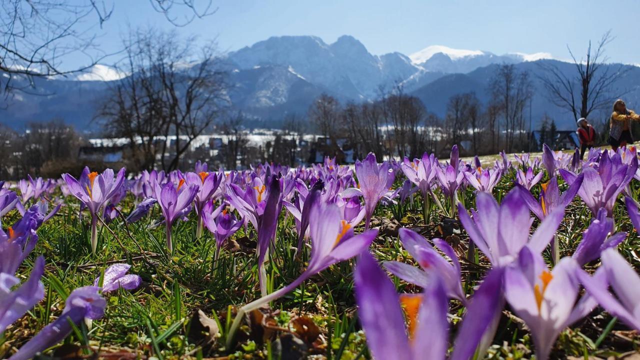 Appartamento Pokoje Widokowe Szymaszkowa Zakopane Esterno foto